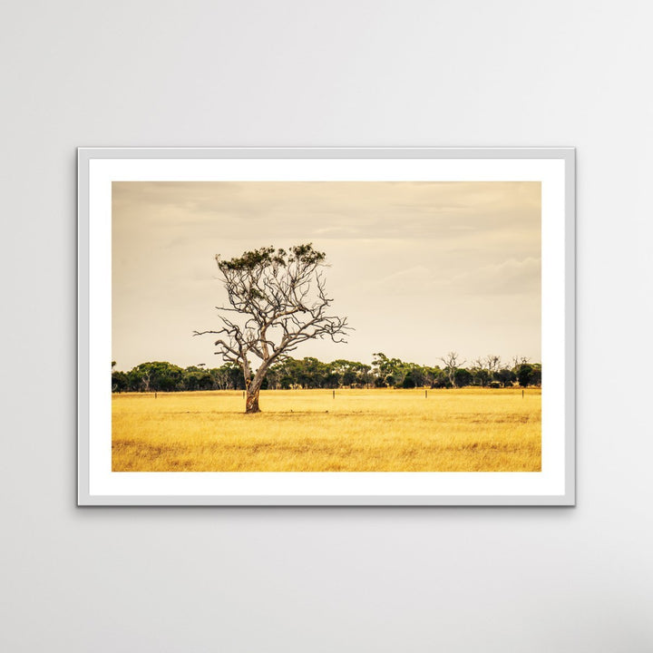 On The Farm - Australian Countryside Bush Yellow Landscape Art Print - I Heart Wall Art