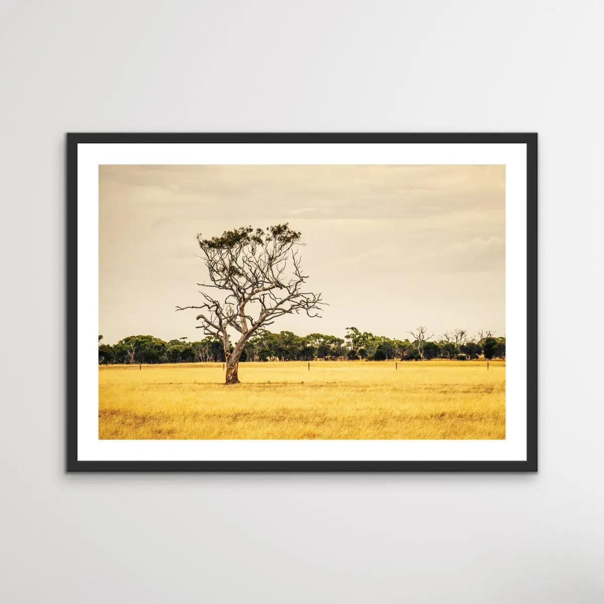 On The Farm - Australian Countryside Bush Yellow Landscape Art Print - I Heart Wall Art
