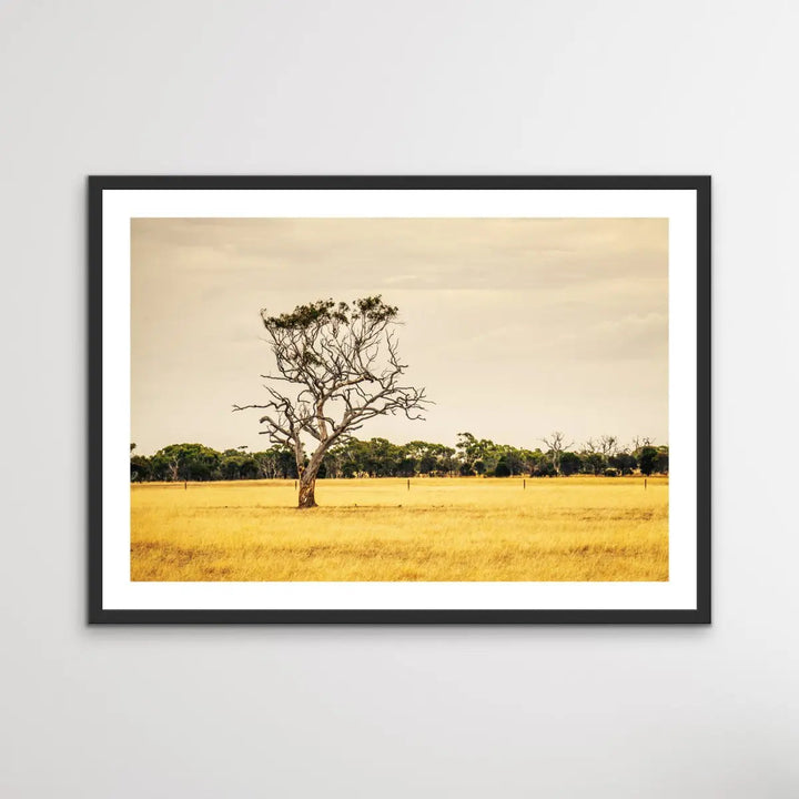 On The Farm - Australian Countryside Bush Yellow Landscape Art Print - I Heart Wall Art