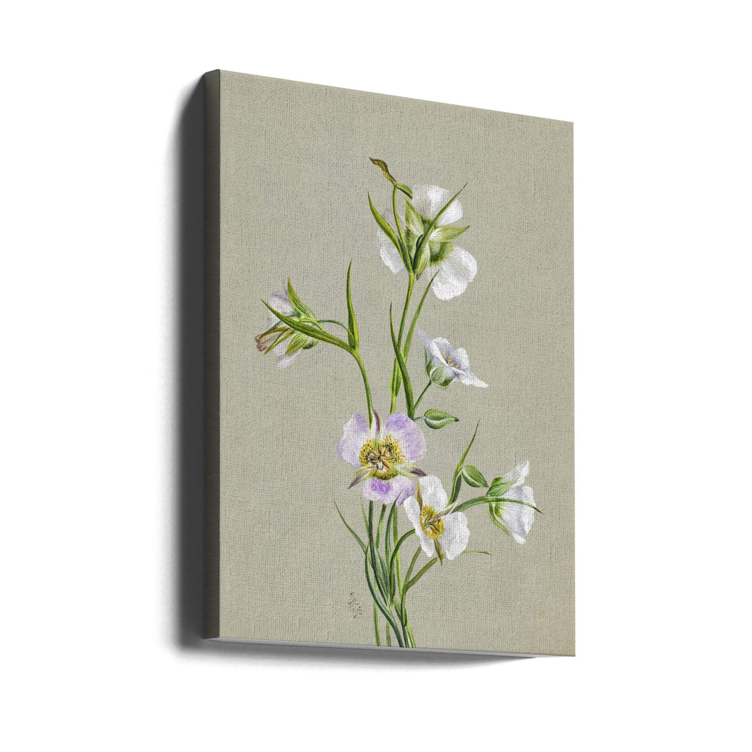 On the Road To Monument (1881) - Stretched Canvas, Poster or Fine Art Print I Heart Wall Art