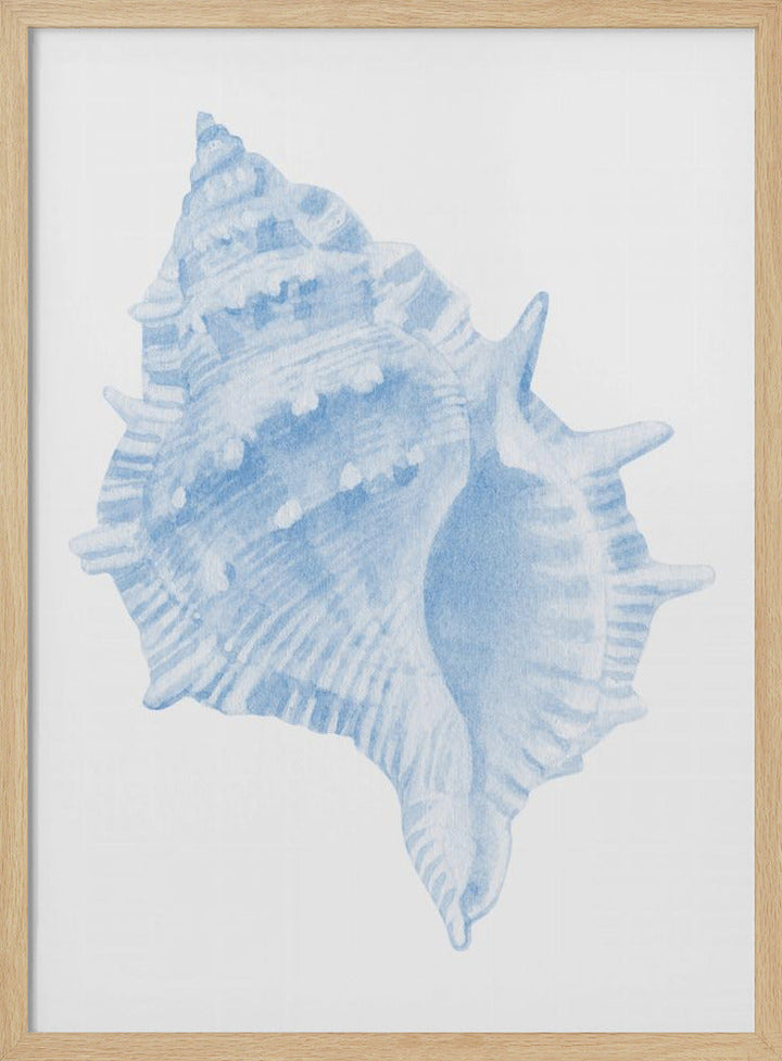 One Blue Conch - Stretched Canvas, Poster or Fine Art Print I Heart Wall Art