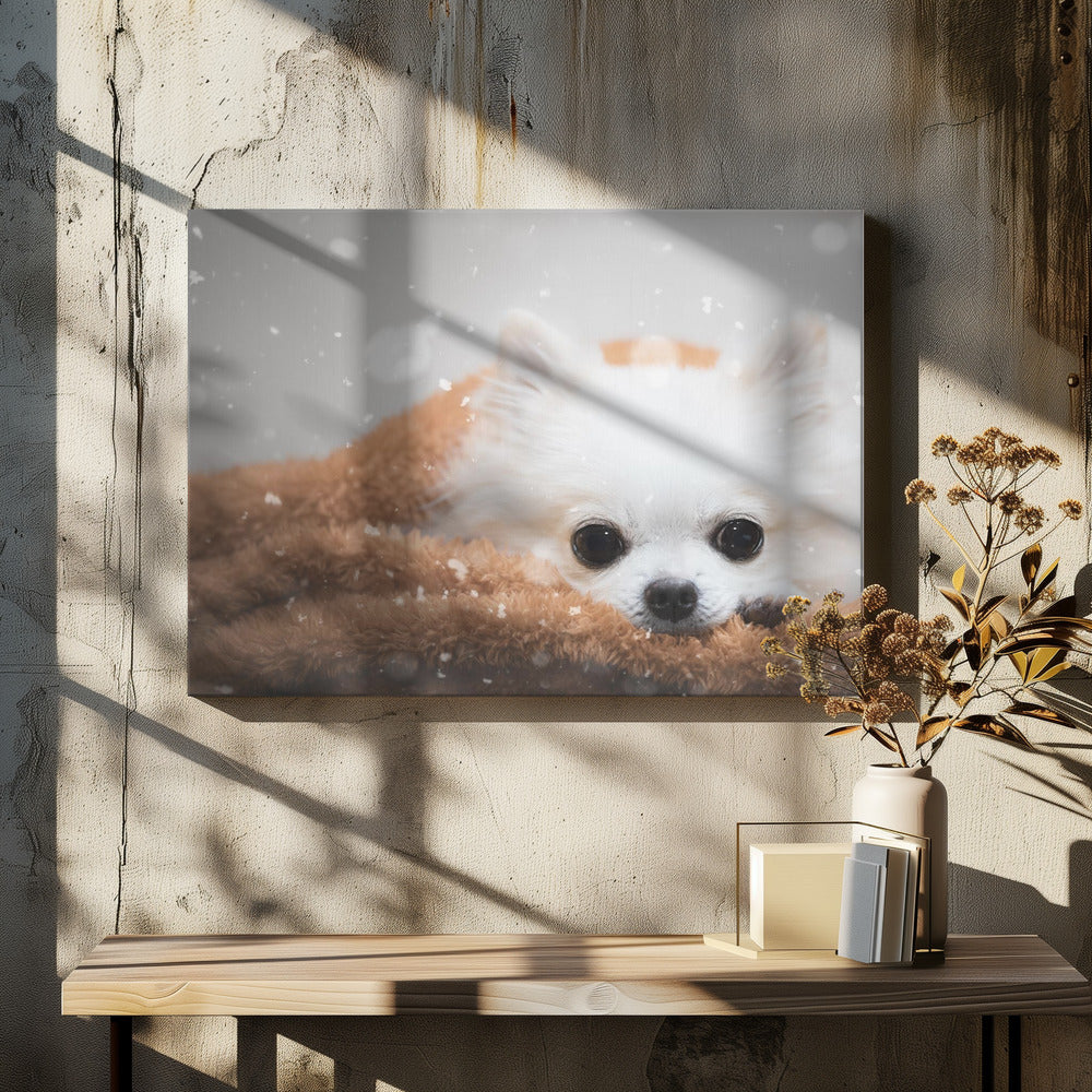 One day in winter - Stretched Canvas, Poster or Fine Art Print I Heart Wall Art