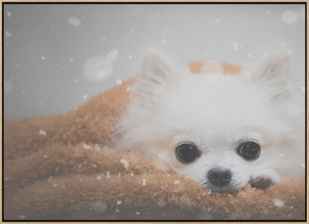 One day in winter - Stretched Canvas, Poster or Fine Art Print I Heart Wall Art