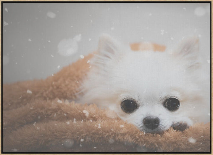 One day in winter - Stretched Canvas, Poster or Fine Art Print I Heart Wall Art