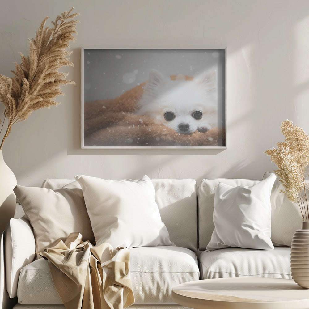 One day in winter - Stretched Canvas, Poster or Fine Art Print I Heart Wall Art
