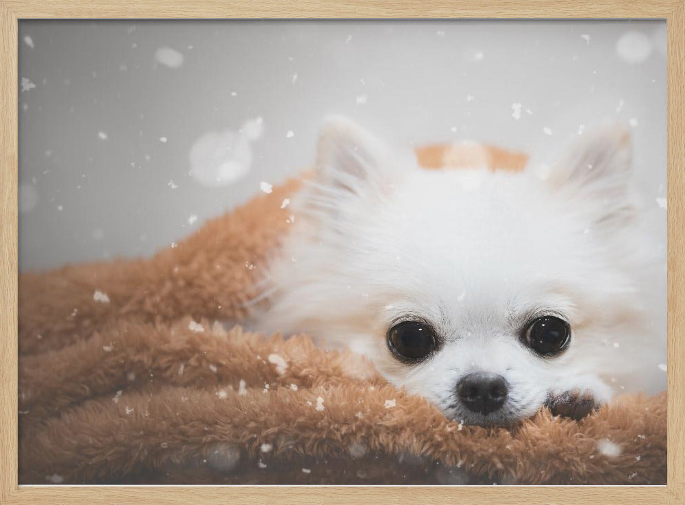 One day in winter - Stretched Canvas, Poster or Fine Art Print I Heart Wall Art