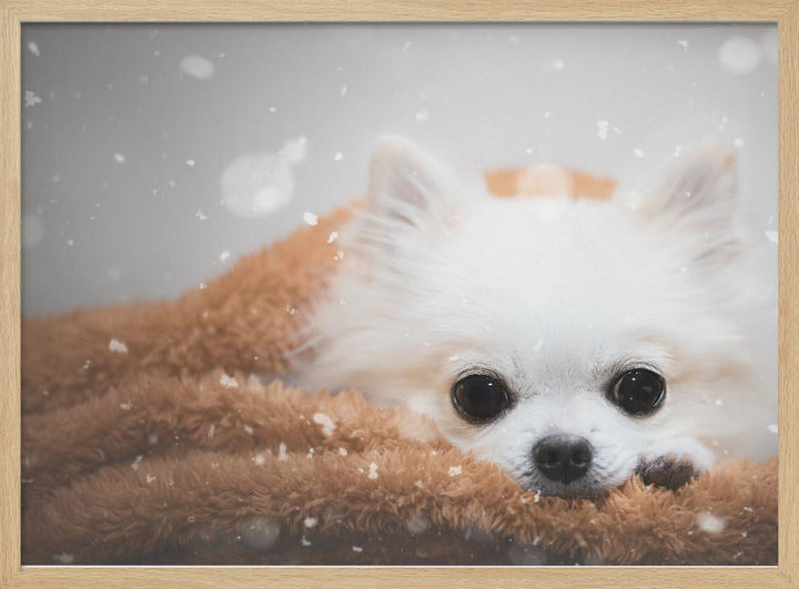 One day in winter - Stretched Canvas, Poster or Fine Art Print I Heart Wall Art