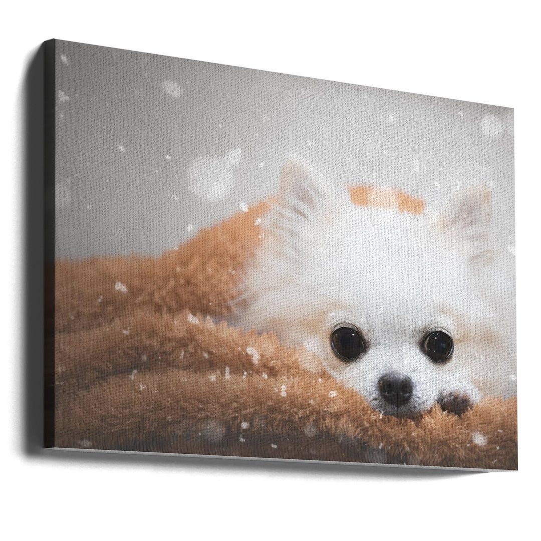 One day in winter - Stretched Canvas, Poster or Fine Art Print I Heart Wall Art