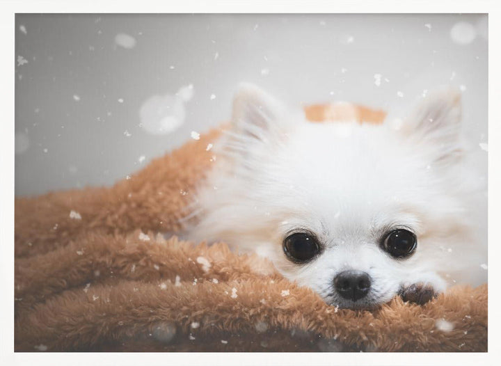 One day in winter - Stretched Canvas, Poster or Fine Art Print I Heart Wall Art