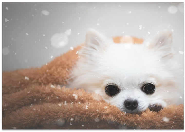 One day in winter - Stretched Canvas, Poster or Fine Art Print I Heart Wall Art