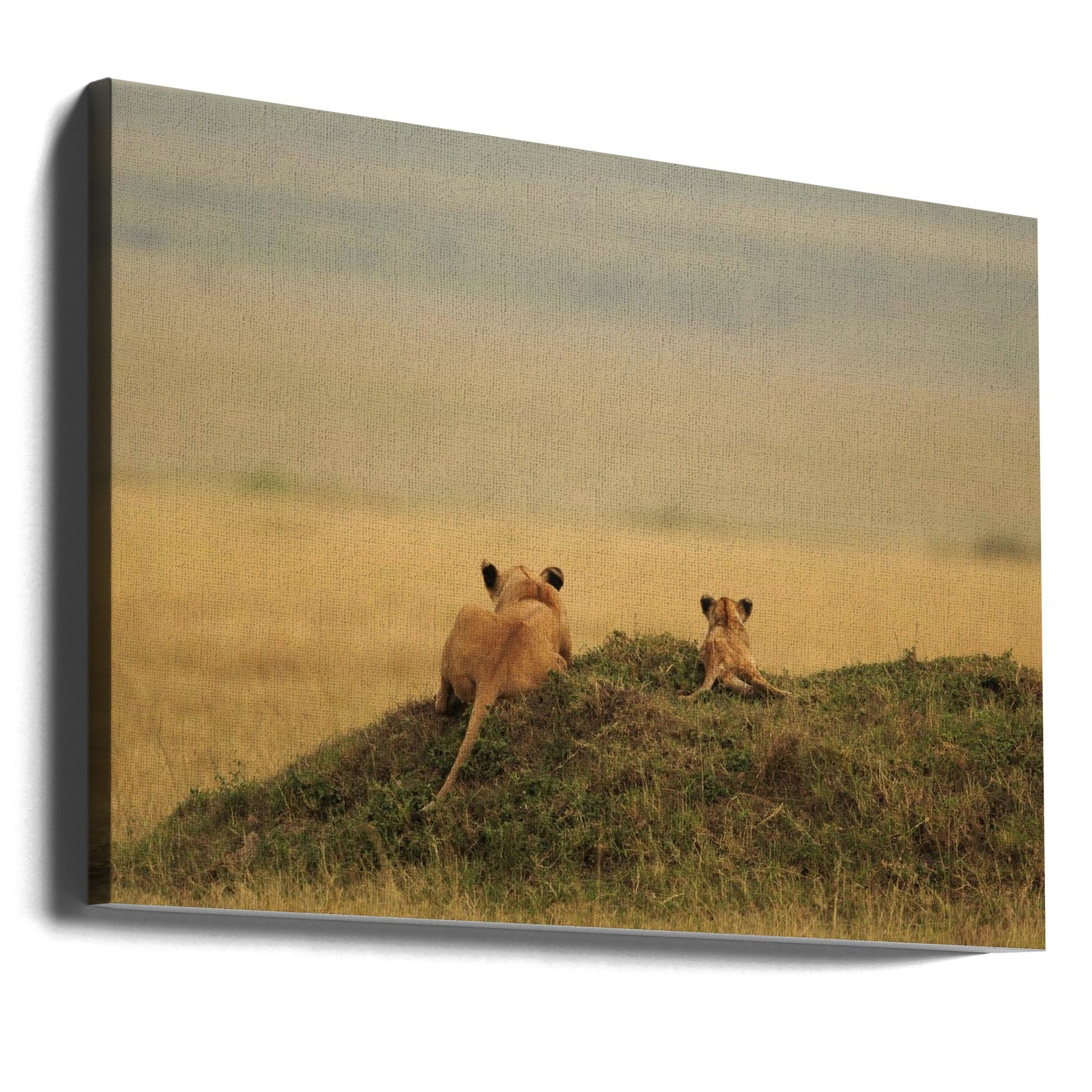 One day it will be yours - Stretched Canvas, Poster or Fine Art Print I Heart Wall Art