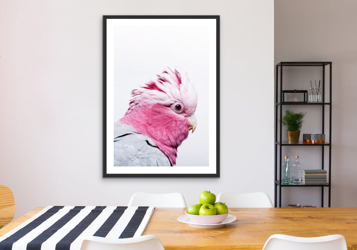 One Gorgeous Galah - Photographic Profile Print of Galah Pink Cockatoo - I Heart Wall Art