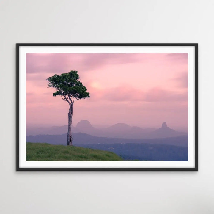 One Tree Hill Maleny - Photographic Print of Glasshouse Mountains Sunshine Coast - I Heart Wall Art - Poster Print, Canvas Print or Framed Art Print