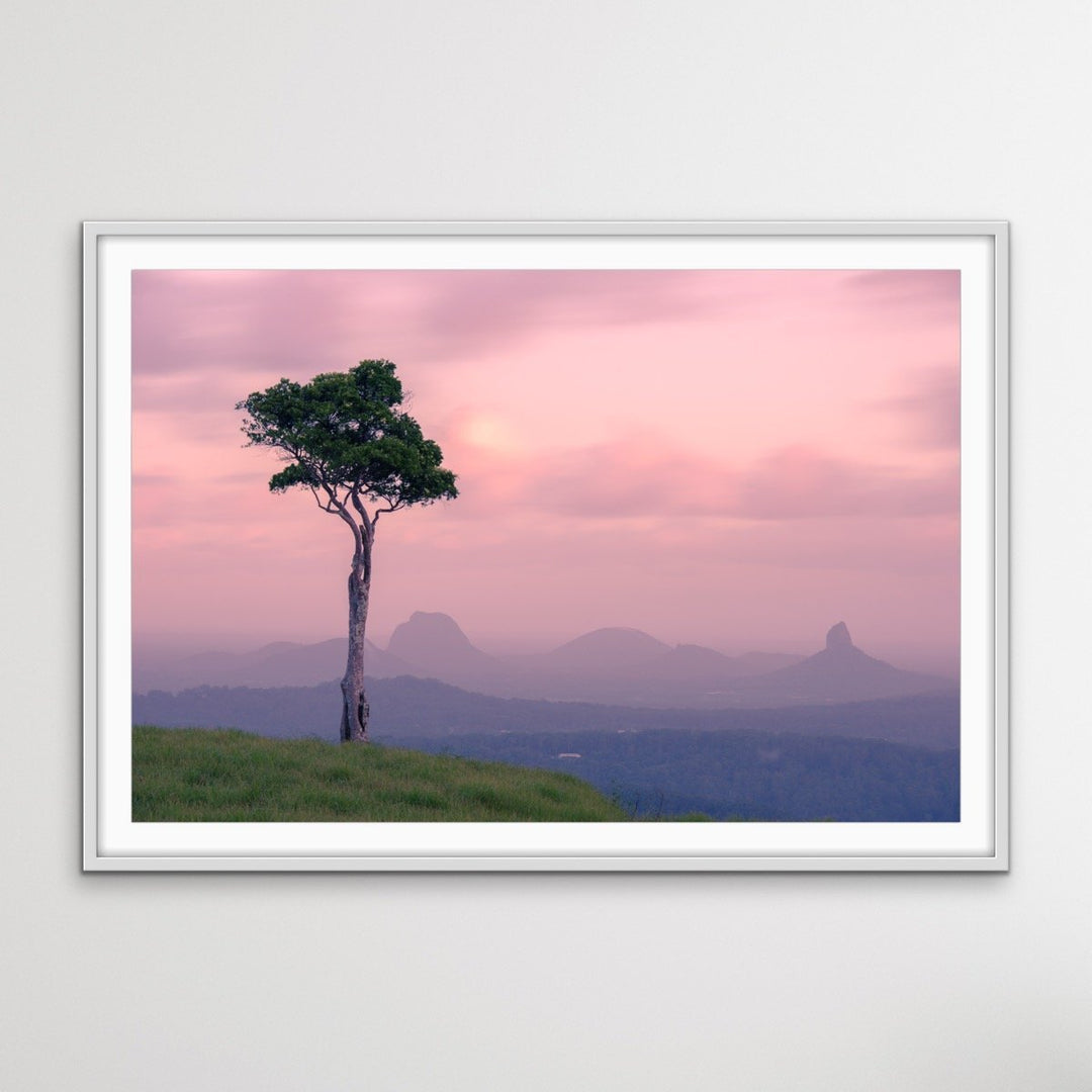 One Tree Hill Maleny - Photographic Print of Glasshouse Mountains Sunshine Coast - I Heart Wall Art
