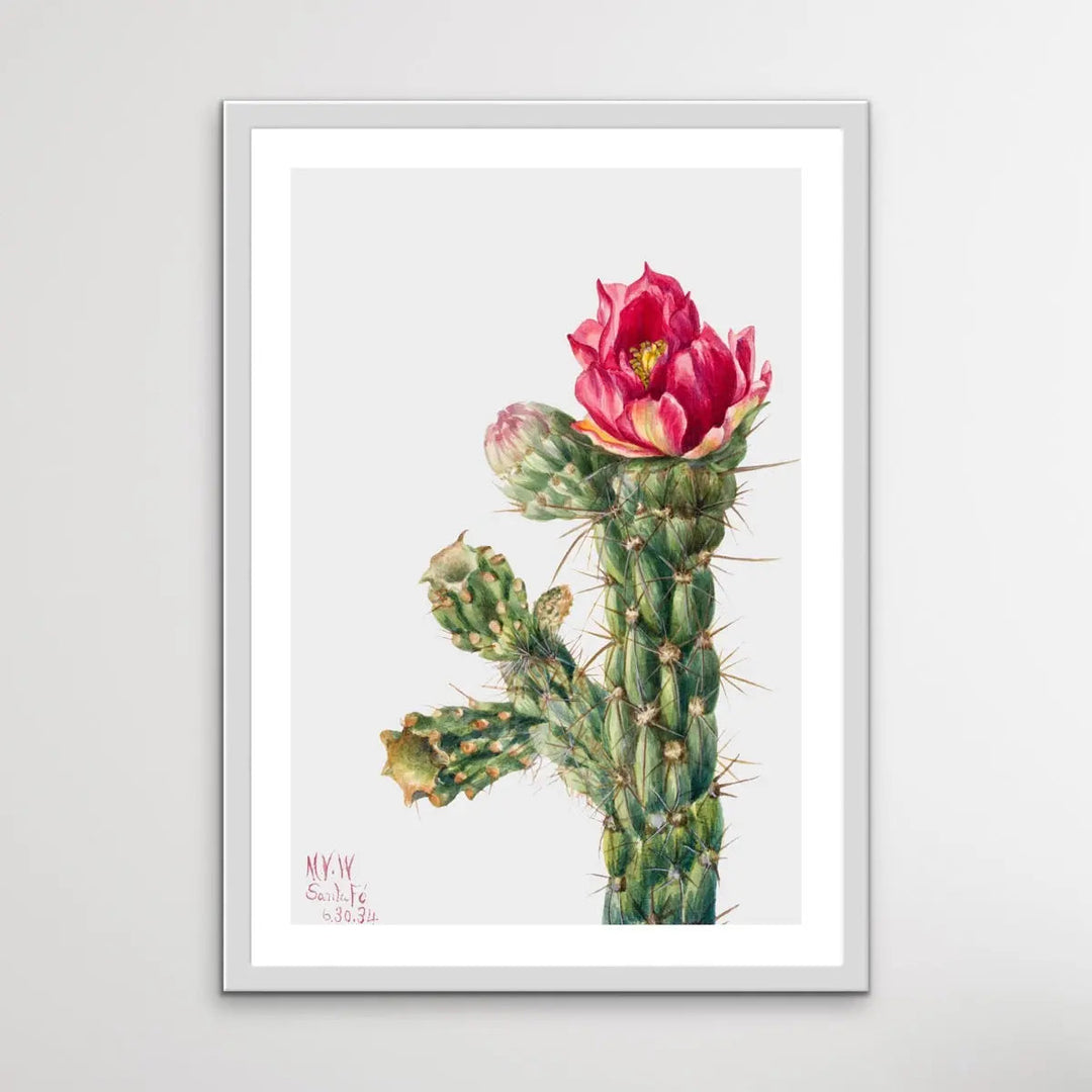 Opuntia Imbricata (1934) by Mary Vaux Walcott - I Heart Wall Art