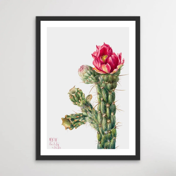 Opuntia Imbricata (1934) by Mary Vaux Walcott - I Heart Wall Art