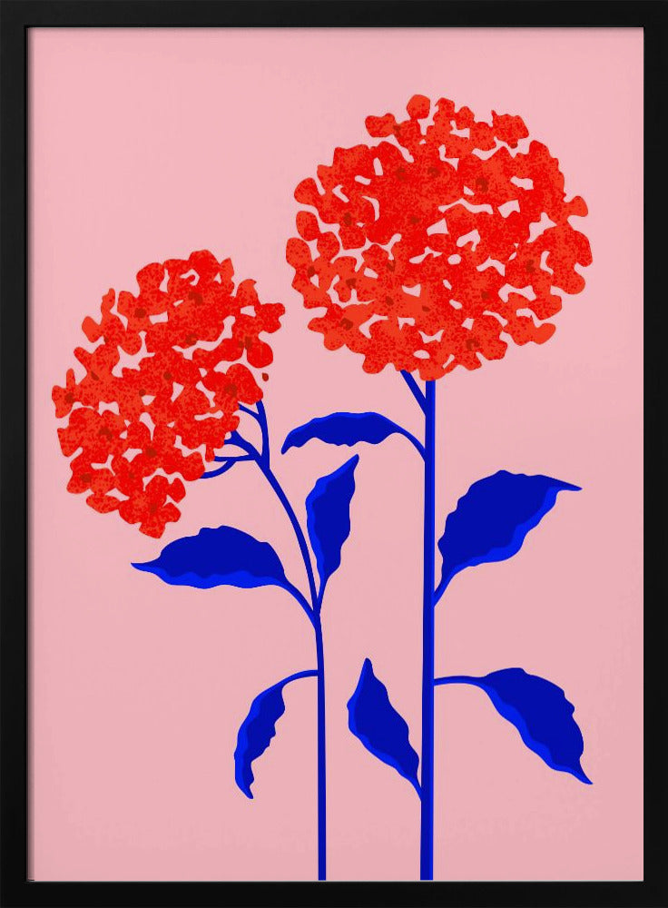 Orange Blossoms - Stretched Canvas, Poster or Fine Art Print I Heart Wall Art