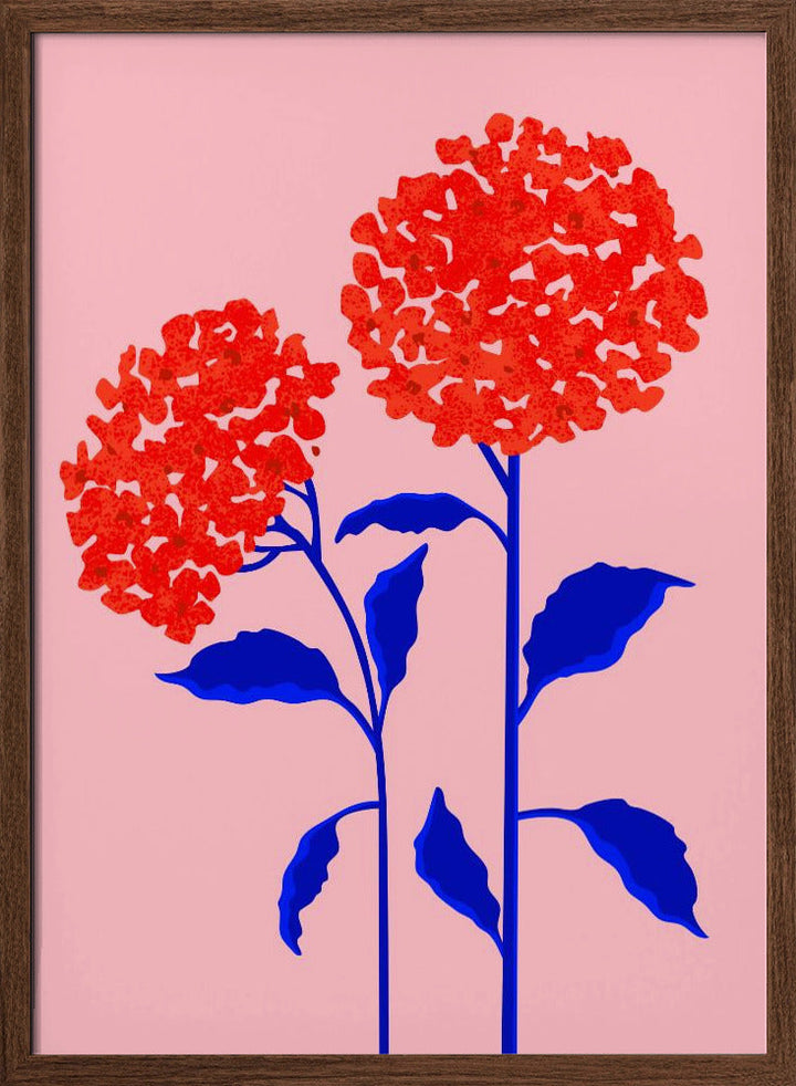 Orange Blossoms - Stretched Canvas, Poster or Fine Art Print I Heart Wall Art
