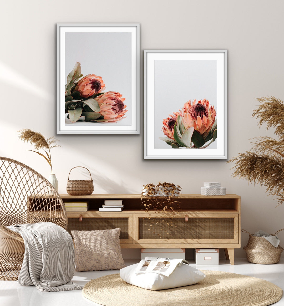 Orange Proteas - Two Piece Protea Photographic Print Canvas Framed Wall Art Diptych - I Heart Wall Art