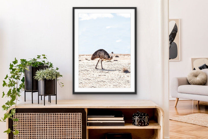 Outback Emu - Australian Outback Emu Bird Photographic Print - I Heart Wall Art