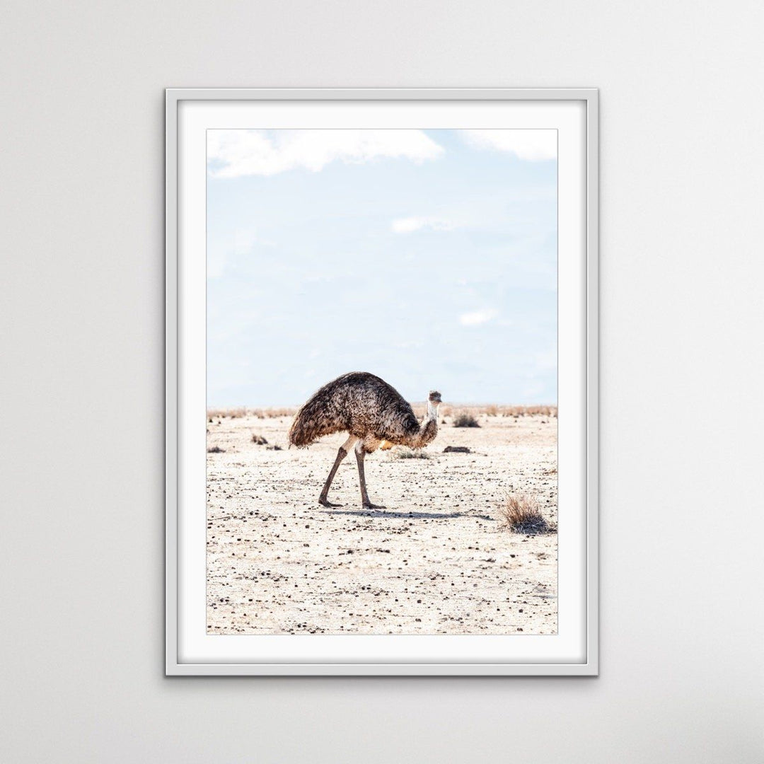 Outback Emu - Australian Outback Emu Bird Photographic Print - I Heart Wall Art