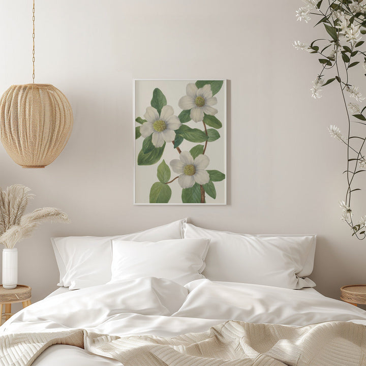 Pacific Dogwood - Stretched Canvas, Poster or Fine Art Print I Heart Wall Art