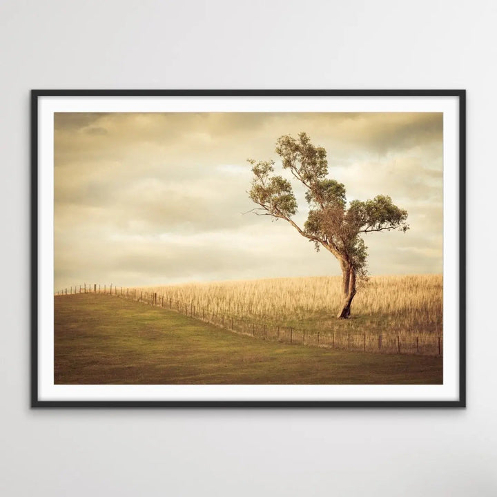 Paddock- Australian Countryside Gundagai Bush Yellow Farm Landscape Art Print - I Heart Wall Art