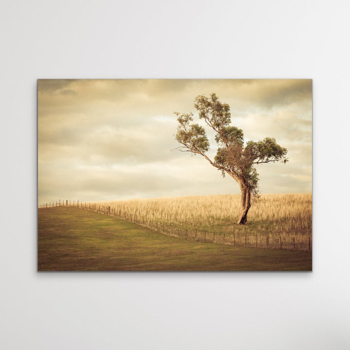 Paddock- Australian Countryside Gundagai Bush Yellow Farm Landscape Art Print - I Heart Wall Art