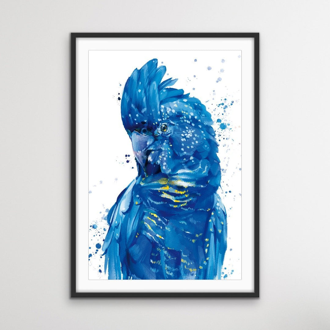 Painted Black Cockatoo -Australian Wildlife Black Cockatoo Blue On White - I Heart Wall Art
