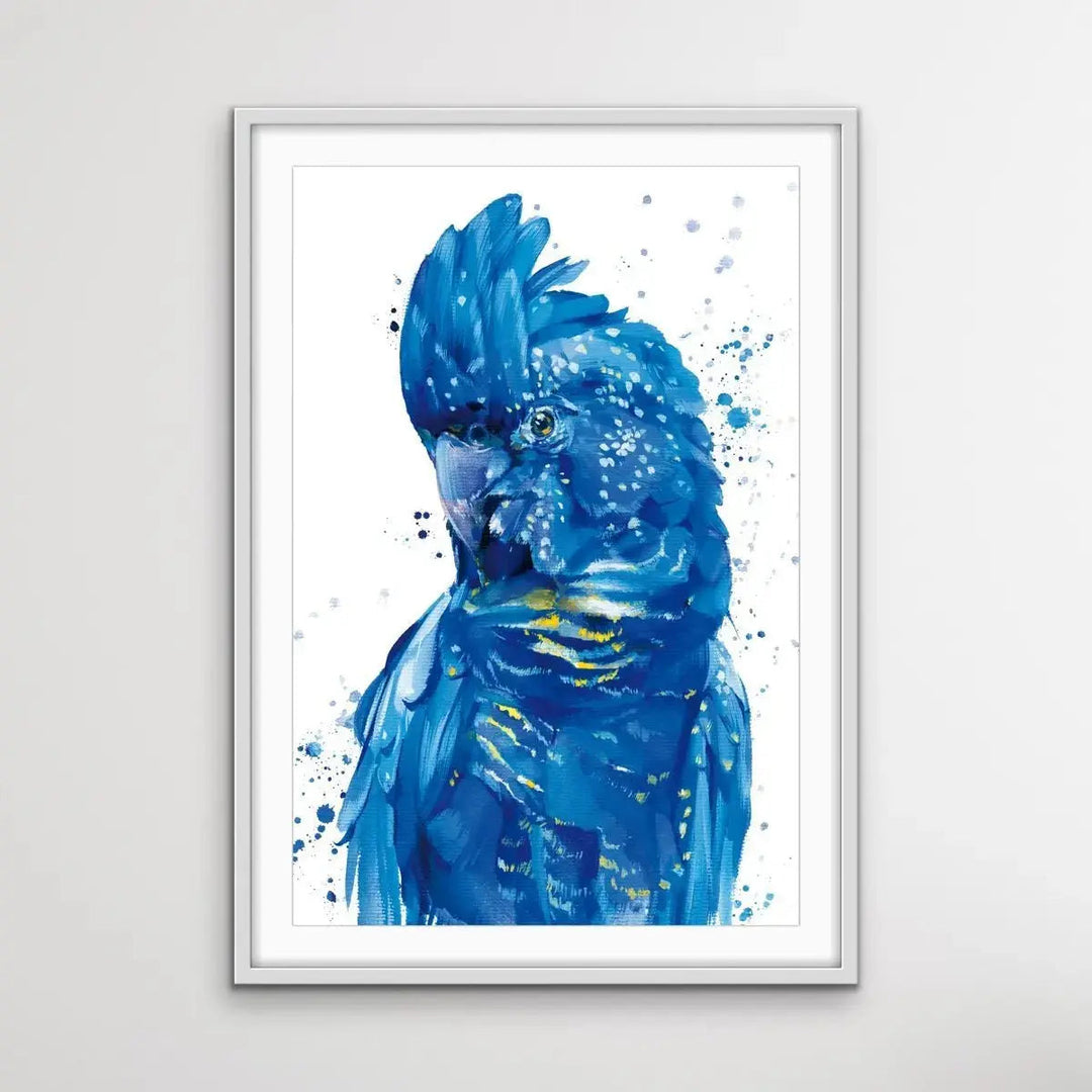 Painted Black Cockatoo -Australian Wildlife Black Cockatoo Blue On White - I Heart Wall Art