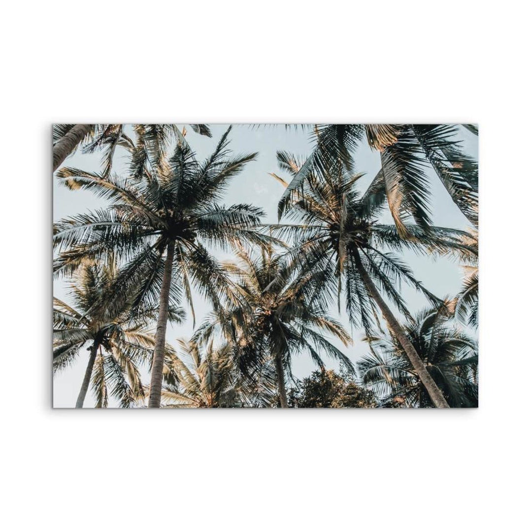 Palm Reflections II - Photographic Art Print of Palm Leaves In The Sunlight - I Heart Wall Art - Poster Print, Canvas Print or Framed Art Print