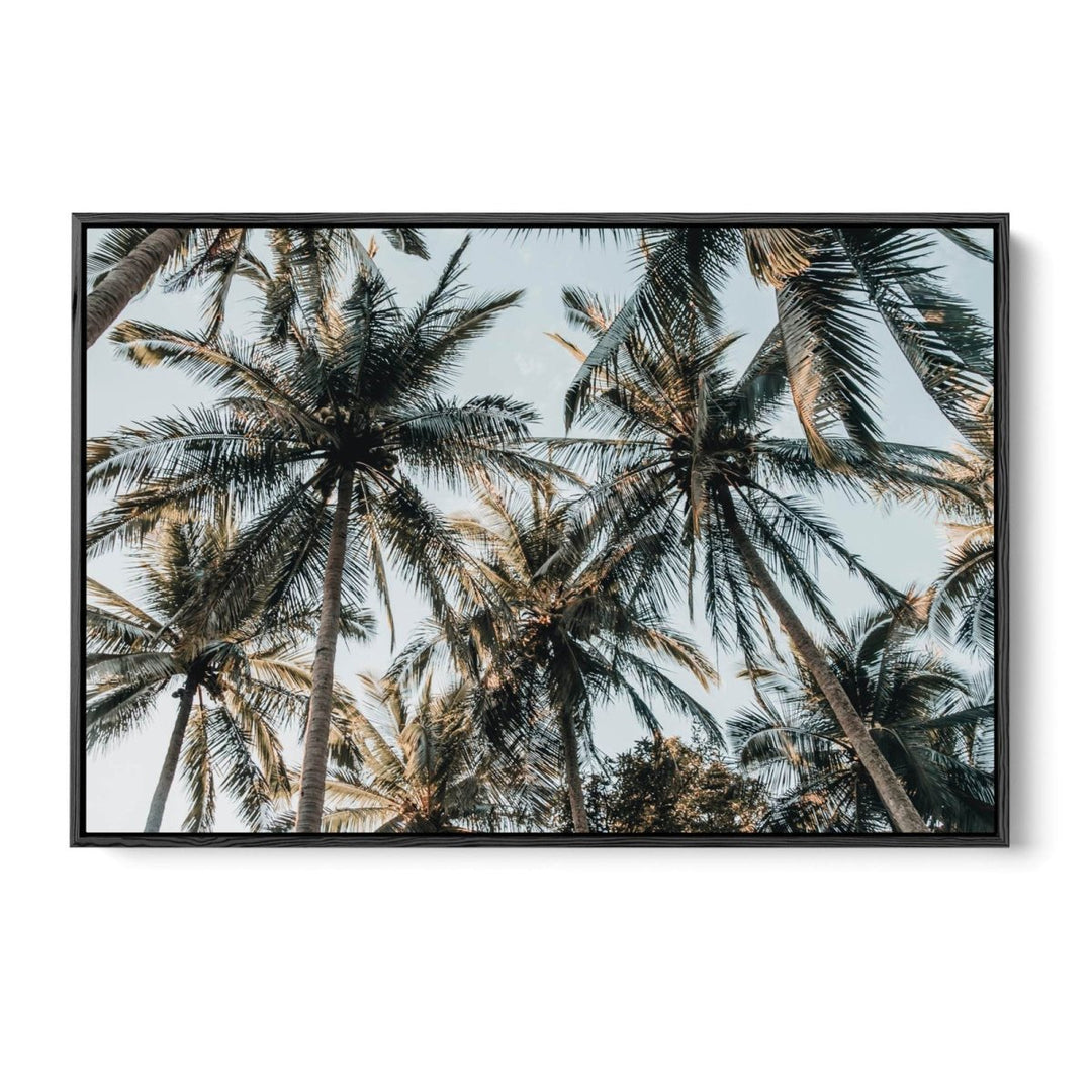 Palm Reflections II - Photographic Art Print of Palm Leaves In The Sunlight - I Heart Wall Art - Poster Print, Canvas Print or Framed Art Print