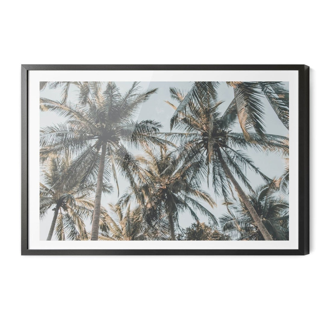 Palm Reflections II - Photographic Art Print of Palm Leaves In The Sunlight - I Heart Wall Art - Poster Print, Canvas Print or Framed Art Print