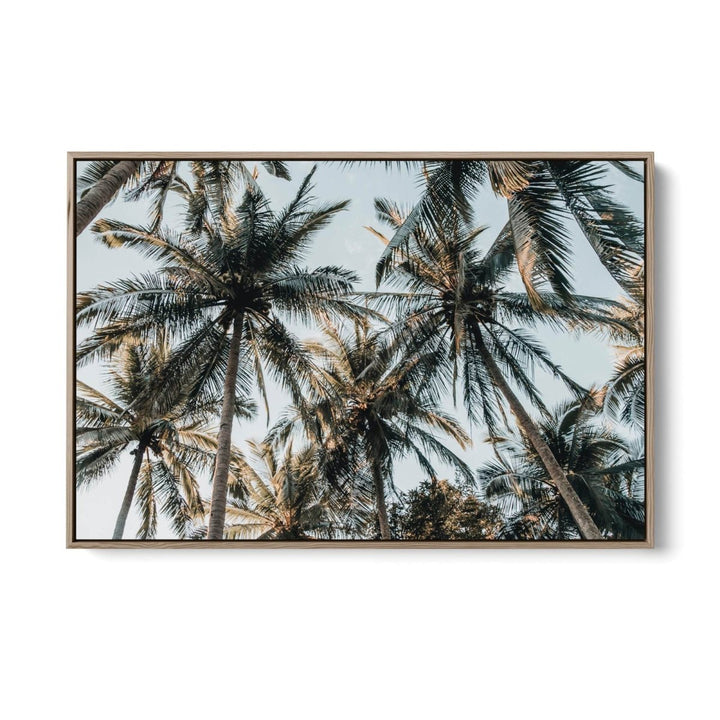 Palm Reflections II - Photographic Art Print of Palm Leaves In The Sunlight - I Heart Wall Art - Poster Print, Canvas Print or Framed Art Print