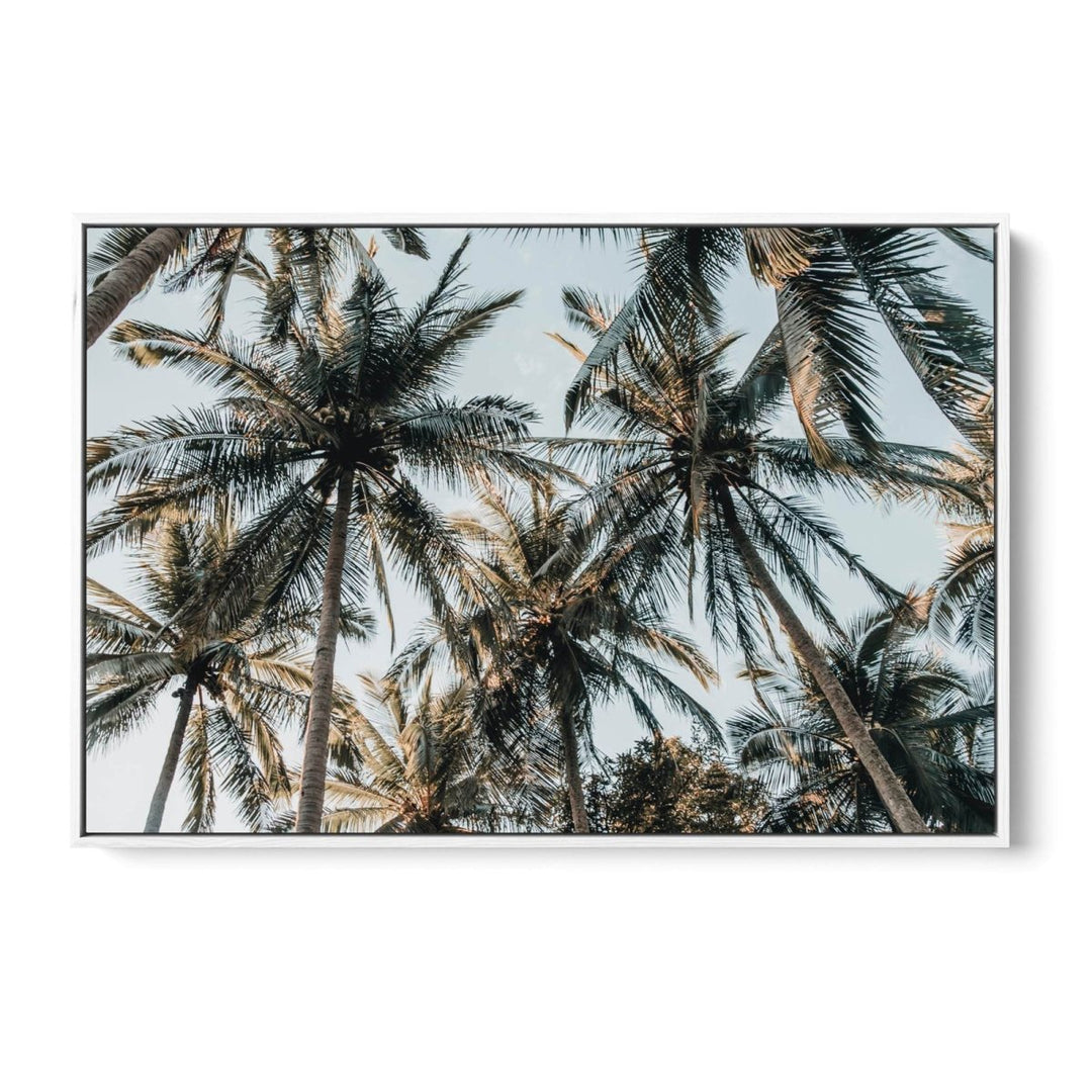 Palm Reflections II - Photographic Art Print of Palm Leaves In The Sunlight - I Heart Wall Art - Poster Print, Canvas Print or Framed Art Print