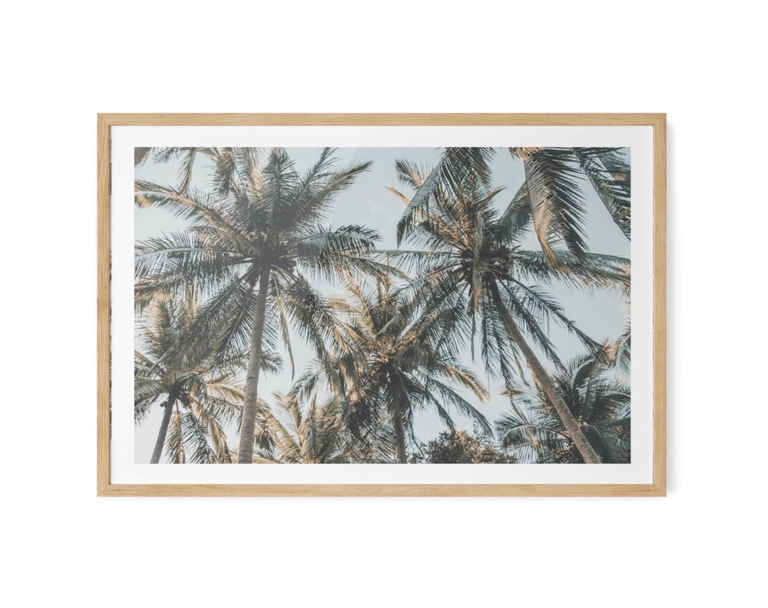 Palm Reflections II - Photographic Art Print of Palm Leaves In The Sunlight - I Heart Wall Art - Poster Print, Canvas Print or Framed Art Print