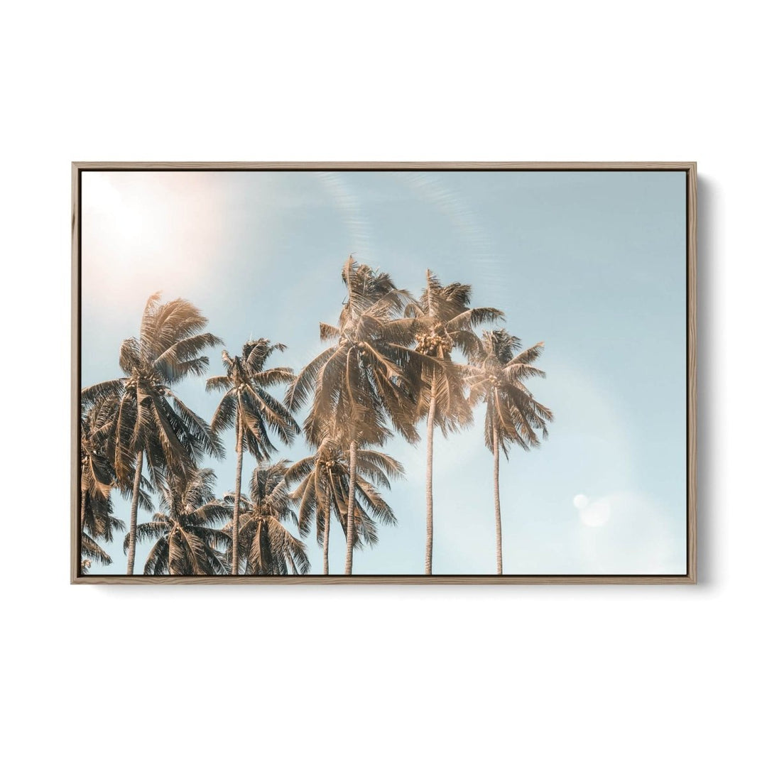 Palm Reflections - Photographic Art Print of Palm Leaves In The Sunlight - I Heart Wall Art - Poster Print, Canvas Print or Framed Art Print