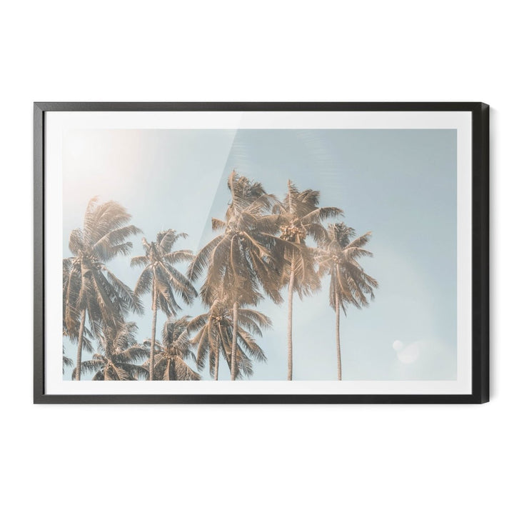 Palm Reflections - Photographic Art Print of Palm Leaves In The Sunlight - I Heart Wall Art - Poster Print, Canvas Print or Framed Art Print