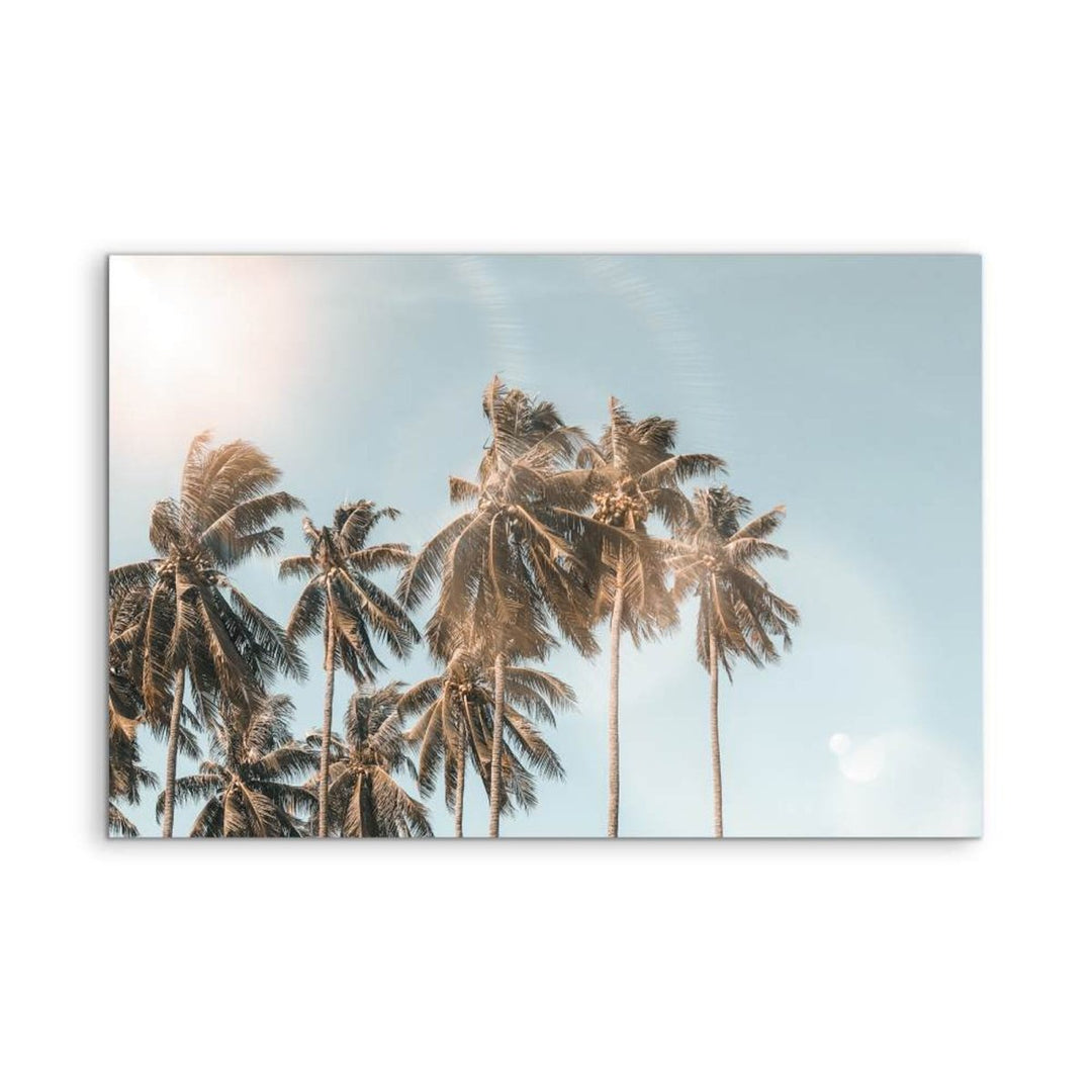 Palm Reflections - Photographic Art Print of Palm Leaves In The Sunlight - I Heart Wall Art - Poster Print, Canvas Print or Framed Art Print