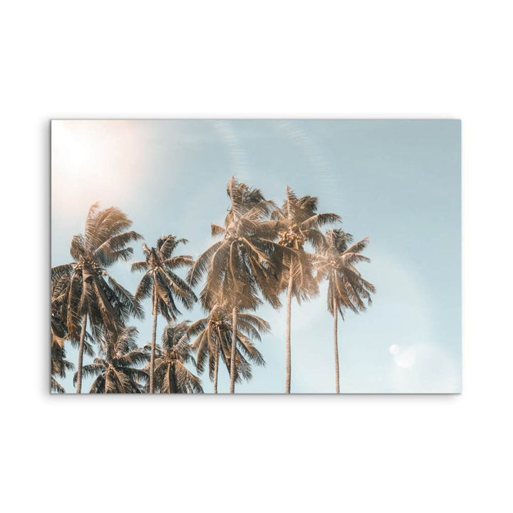 Palm Reflections - Photographic Art Print of Palm Leaves In The Sunlight - I Heart Wall Art - Poster Print, Canvas Print or Framed Art Print