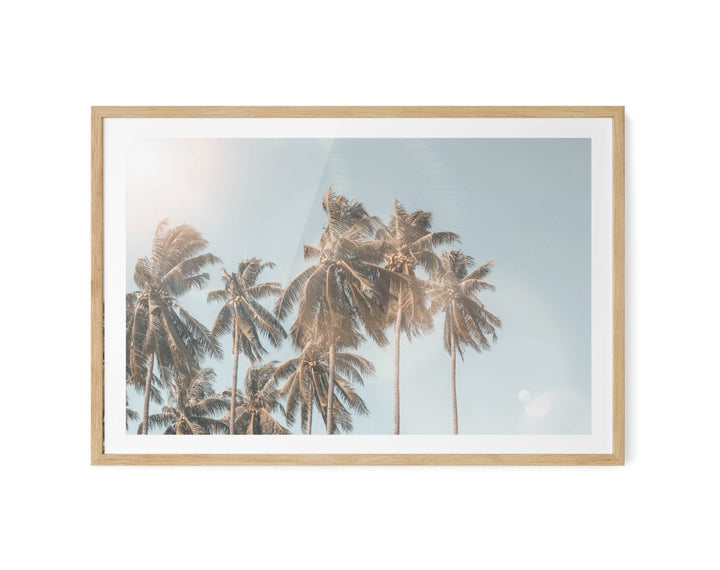 Palm Reflections - Photographic Art Print of Palm Leaves In The Sunlight - I Heart Wall Art - Poster Print, Canvas Print or Framed Art Print