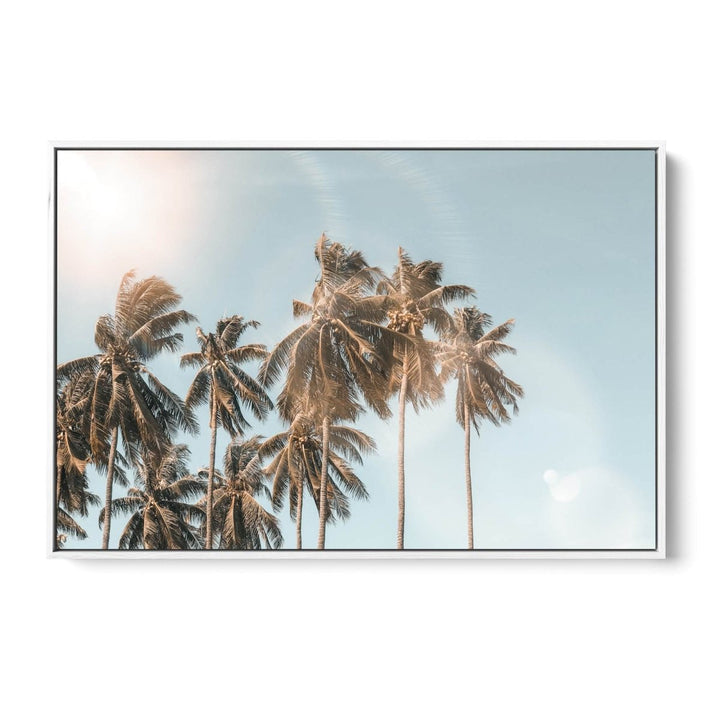 Palm Reflections - Photographic Art Print of Palm Leaves In The Sunlight - I Heart Wall Art - Poster Print, Canvas Print or Framed Art Print