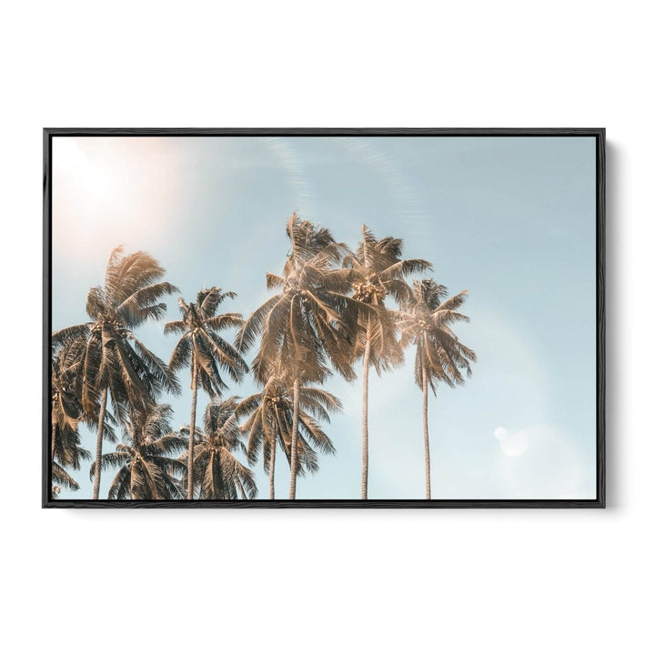Palm Reflections - Photographic Art Print of Palm Leaves In The Sunlight - I Heart Wall Art - Poster Print, Canvas Print or Framed Art Print