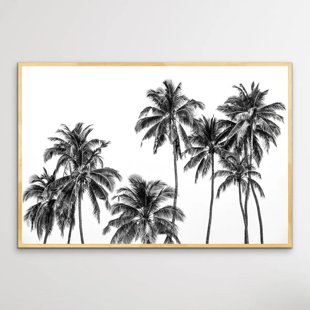 Palm Silhouette - Black and Pastel Palm Tree Photographic Print - I Heart Wall Art