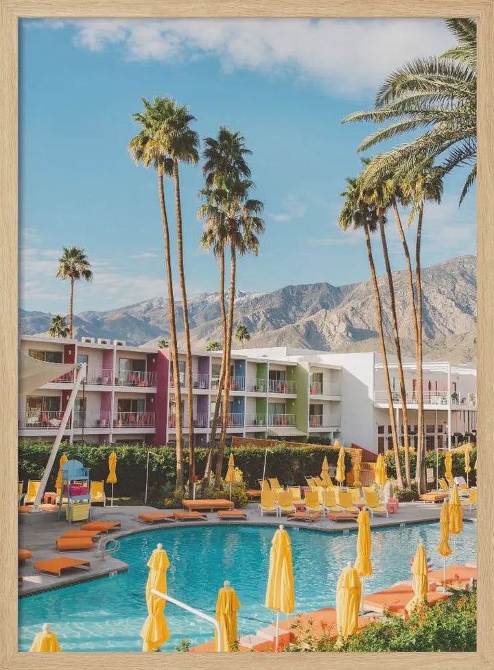 Palm Springs Saguaro - Stretched Canvas, Poster or Fine Art Print I Heart Wall Art