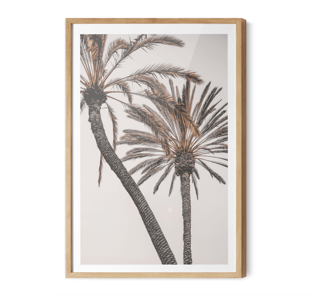Palm Study I - Coastal Photographic Art / Stretched Canvas Print - I Heart Wall Art - Poster Print, Canvas Print or Framed Art Print