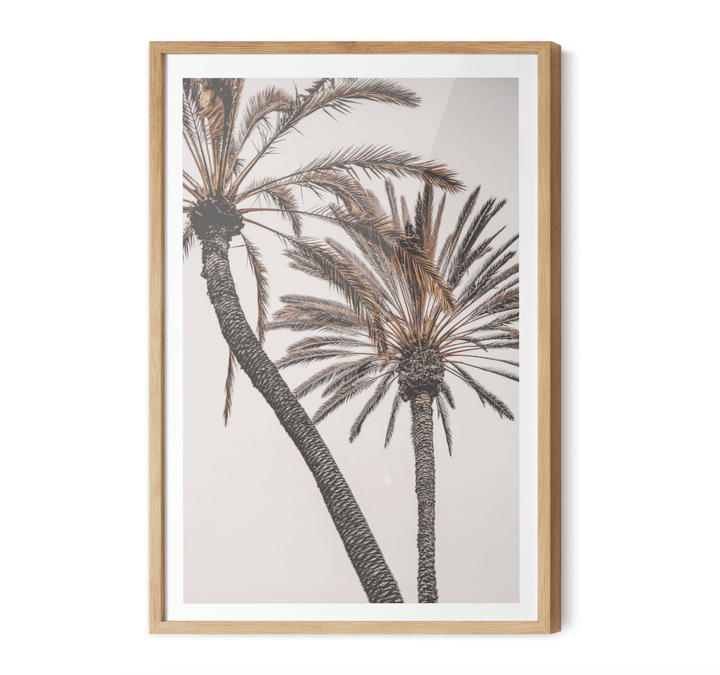 Palm Study I - Coastal Photographic Art / Stretched Canvas Print - I Heart Wall Art - Poster Print, Canvas Print or Framed Art Print