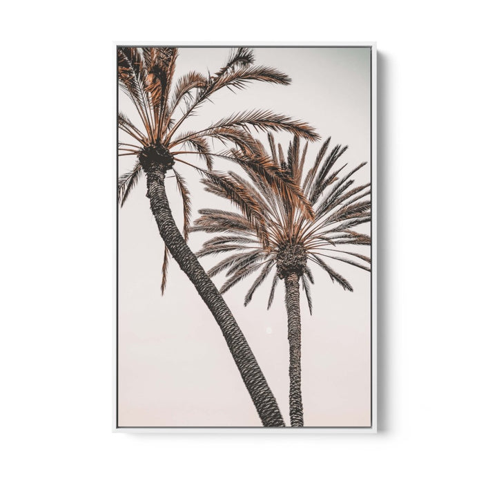 Palm Study I - Coastal Photographic Art / Stretched Canvas Print - I Heart Wall Art - Poster Print, Canvas Print or Framed Art Print