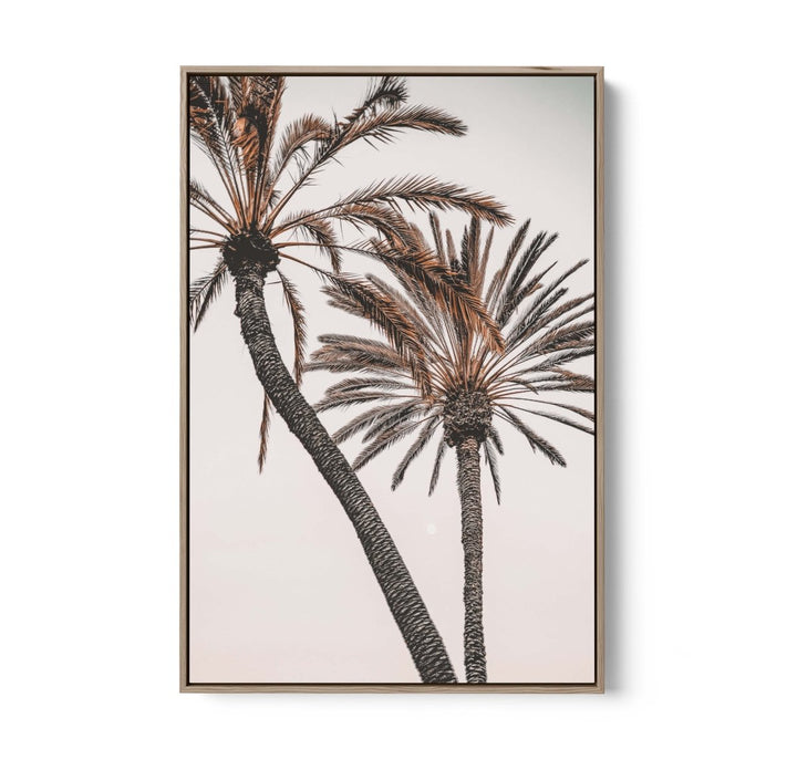 Palm Study I - Coastal Photographic Art / Stretched Canvas Print - I Heart Wall Art - Poster Print, Canvas Print or Framed Art Print