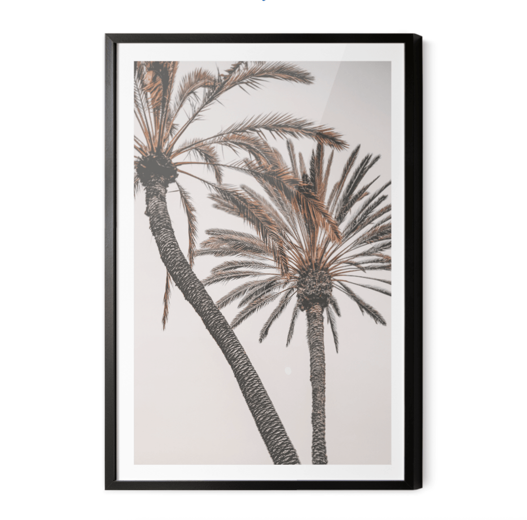 Palm Study I - Coastal Photographic Art / Stretched Canvas Print - I Heart Wall Art - Poster Print, Canvas Print or Framed Art Print